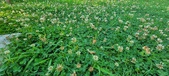 Enlarge photo 82