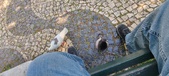 Enlarge photo 81