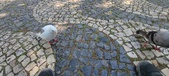 Enlarge photo 78