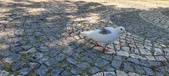 Enlarge photo 76