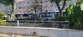 Enlarge photo 71