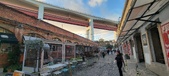 Enlarge photo 168