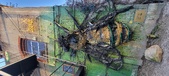 Enlarge photo 165