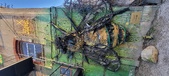 Enlarge photo 164