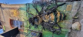 Enlarge photo 163