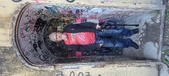 Enlarge photo 154