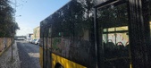 Enlarge photo 56