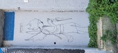 Enlarge photo 69