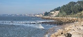 Enlarge photo 83