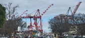 Enlarge photo 133