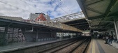 Enlarge photo 81