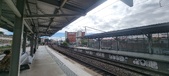 Enlarge photo 92