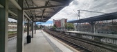 Enlarge photo 93