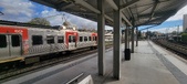 Enlarge photo 113