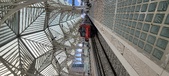 Enlarge photo 135