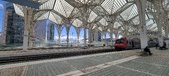 Enlarge photo 152