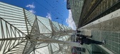 Enlarge photo 194