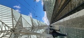 Enlarge photo 196