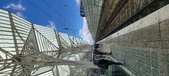 Enlarge photo 203