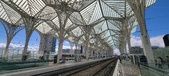 Enlarge photo 207
