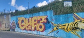 Enlarge photo 247
