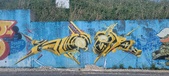 Enlarge photo 249