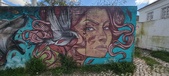 Enlarge photo 254