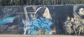 Enlarge photo 259