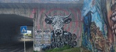 Enlarge photo 266