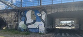 Enlarge photo 271