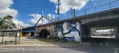 Enlarge photo 273