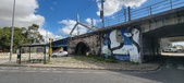 Enlarge photo 274
