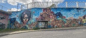 Enlarge photo 275