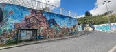 Enlarge photo 276