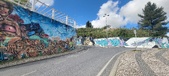 Enlarge photo 277