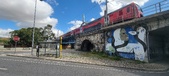 Enlarge photo 279