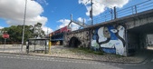 Enlarge photo 280