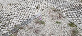 Enlarge photo 292