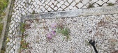 Enlarge photo 308