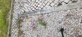 Enlarge photo 309