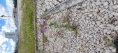 Enlarge photo 310