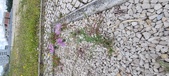 Enlarge photo 311