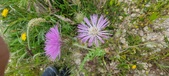 Enlarge photo 313