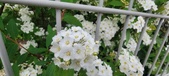 Enlarge photo 328