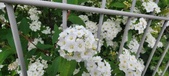 Enlarge photo 329