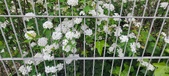 Enlarge photo 336