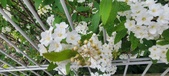 Enlarge photo 340