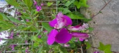 Enlarge photo 346