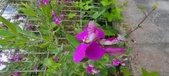 Enlarge photo 347