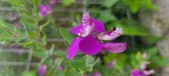 Enlarge photo 349